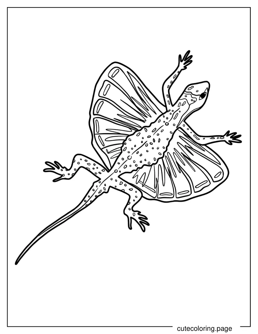 Draco _Flyzard_ Lizard Coloring Page coloring page