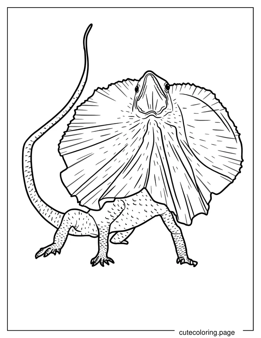 Easy Dragon Lizard Coloring Page For Kids coloring page