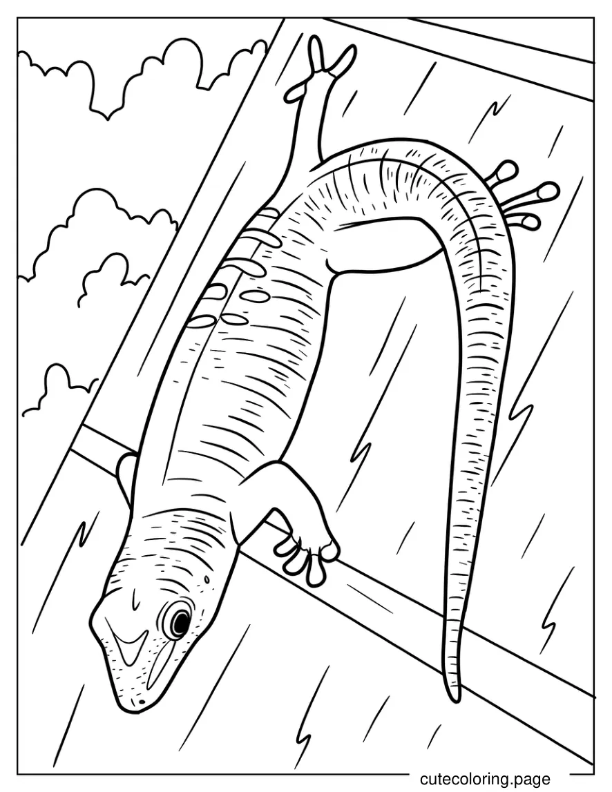 Gecko Lizard On Wood Coloring Page coloring page