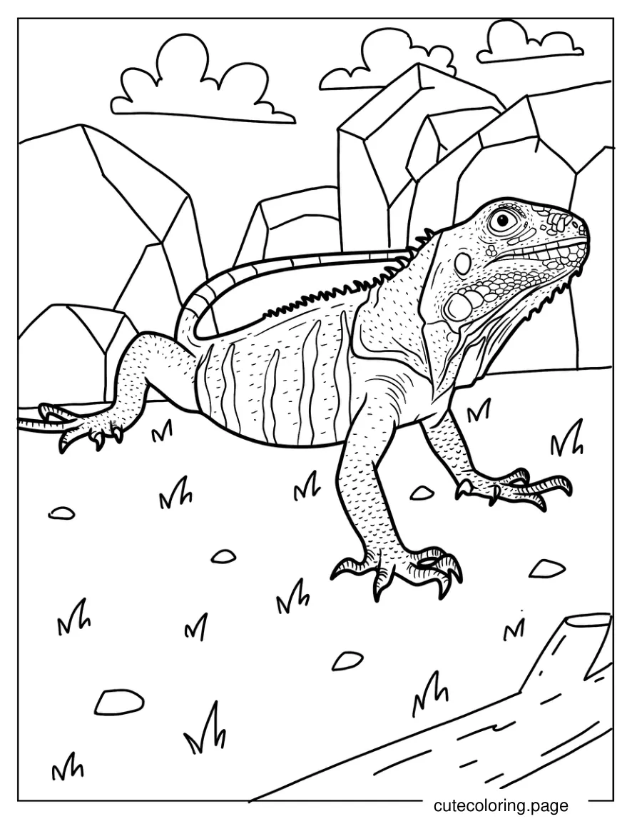 Green Iguana On Grass coloring page