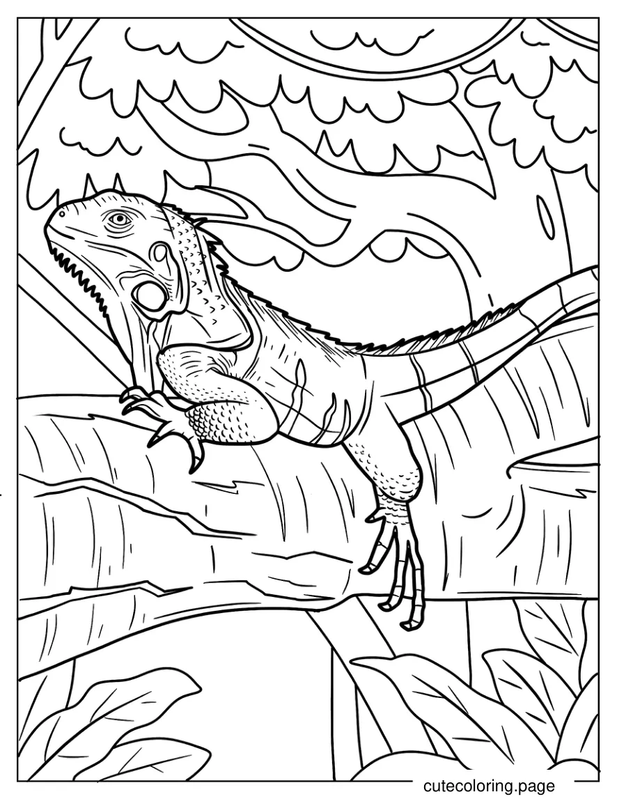 Iguana With Head Up On Tree Branch coloring page