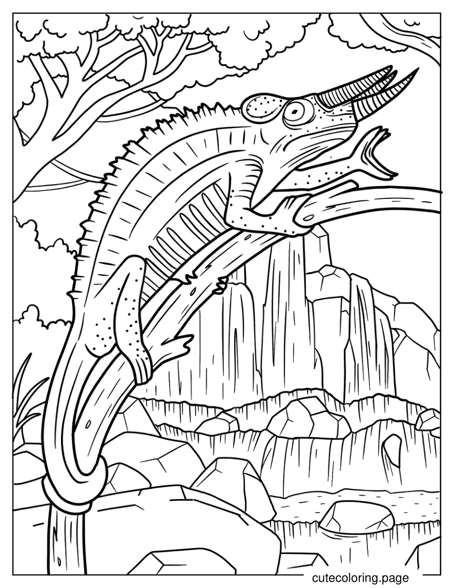 Jackson_s Chameleon On Tree Branch coloring page