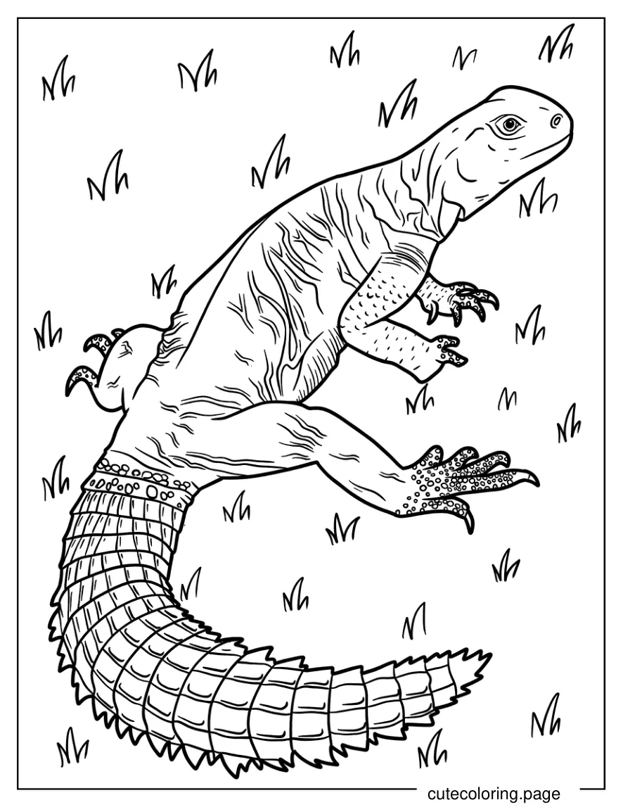 Large Egyptian Uromastyx On Field Coloring Sheet coloring page