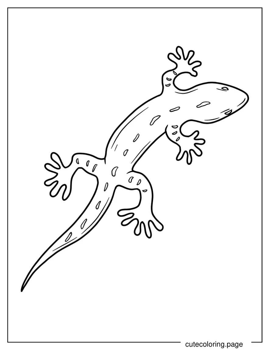 Lizard Coloring Page For Preschoolers coloring page