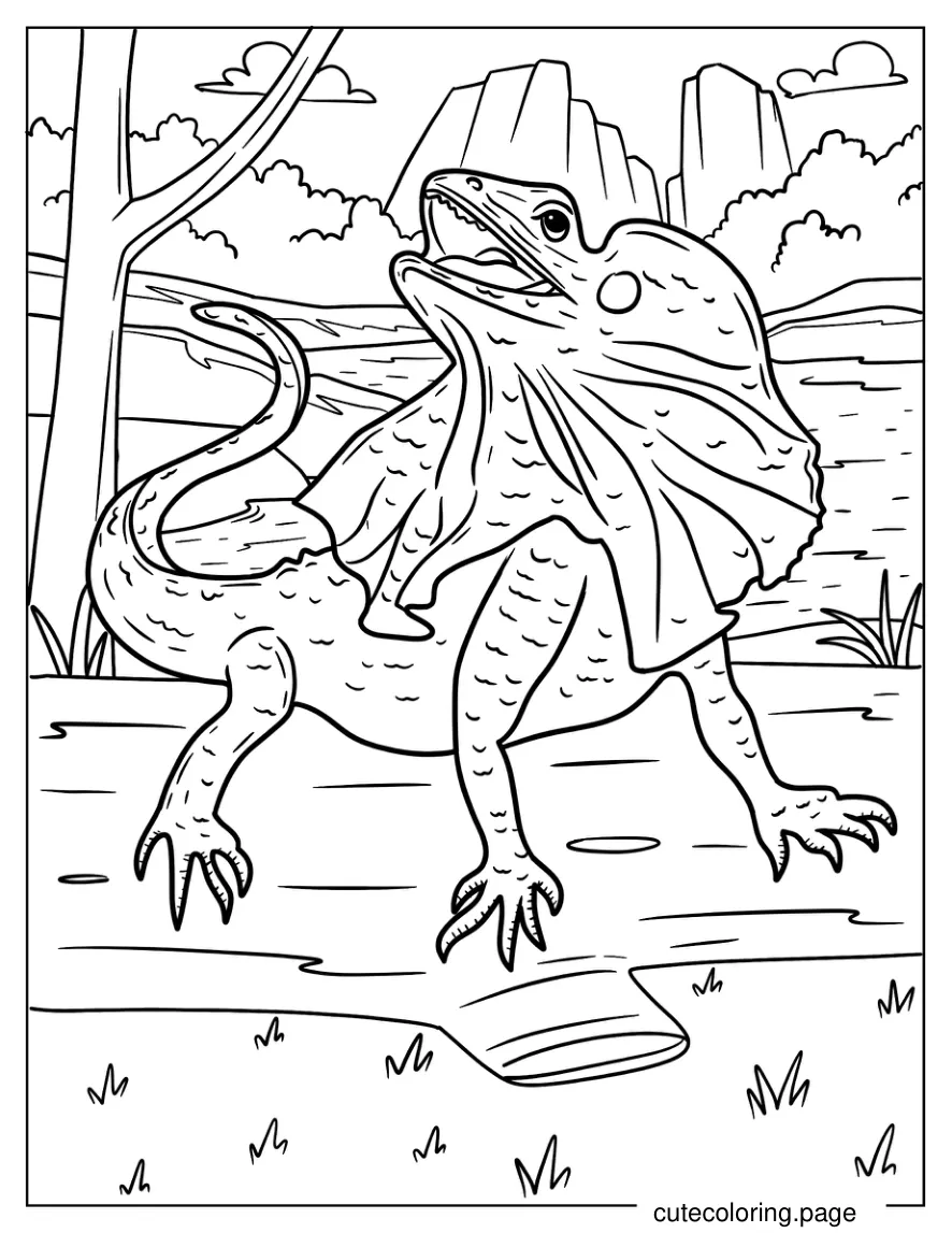 Lizard Looking Up From Ground Coloring Sheet coloring page