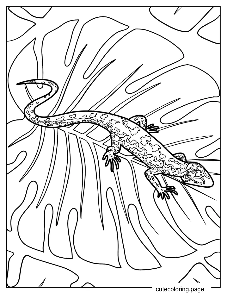 Sand Lizard On Leaf coloring page