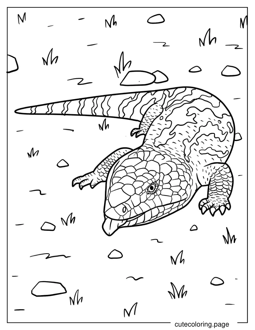 Scaly Blue Tongued Skink On Ground Coloring Page coloring page