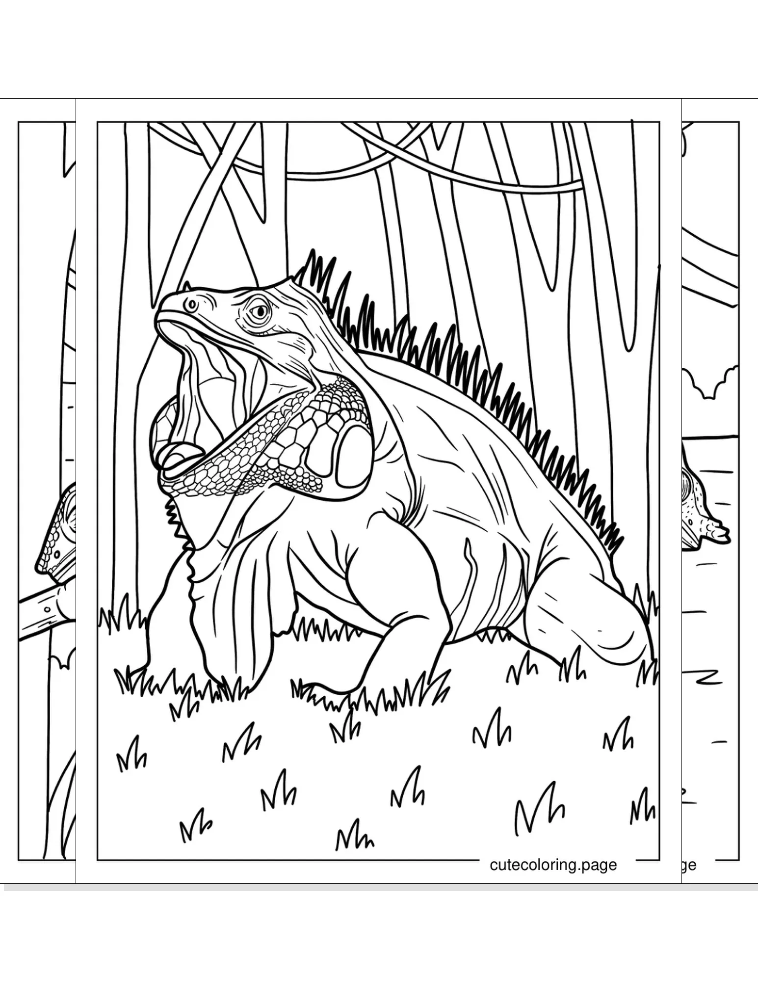 lizard coloring pages coloring page