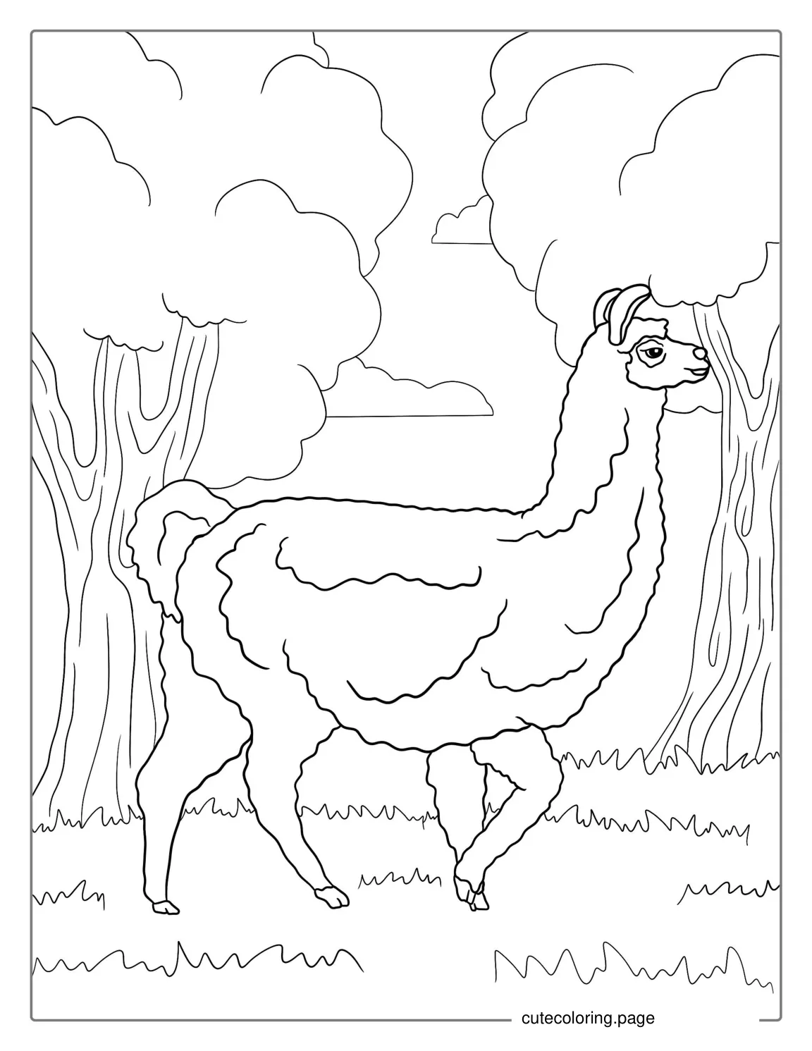 Coloring Page Of a Realistic Looking Llama 1 coloring page