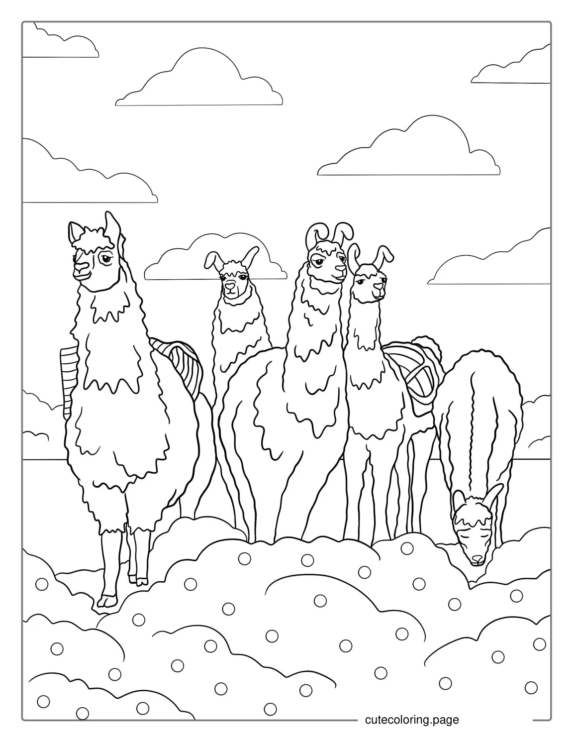 Herd Of Wild Llamas In Field To Color In 1 coloring page