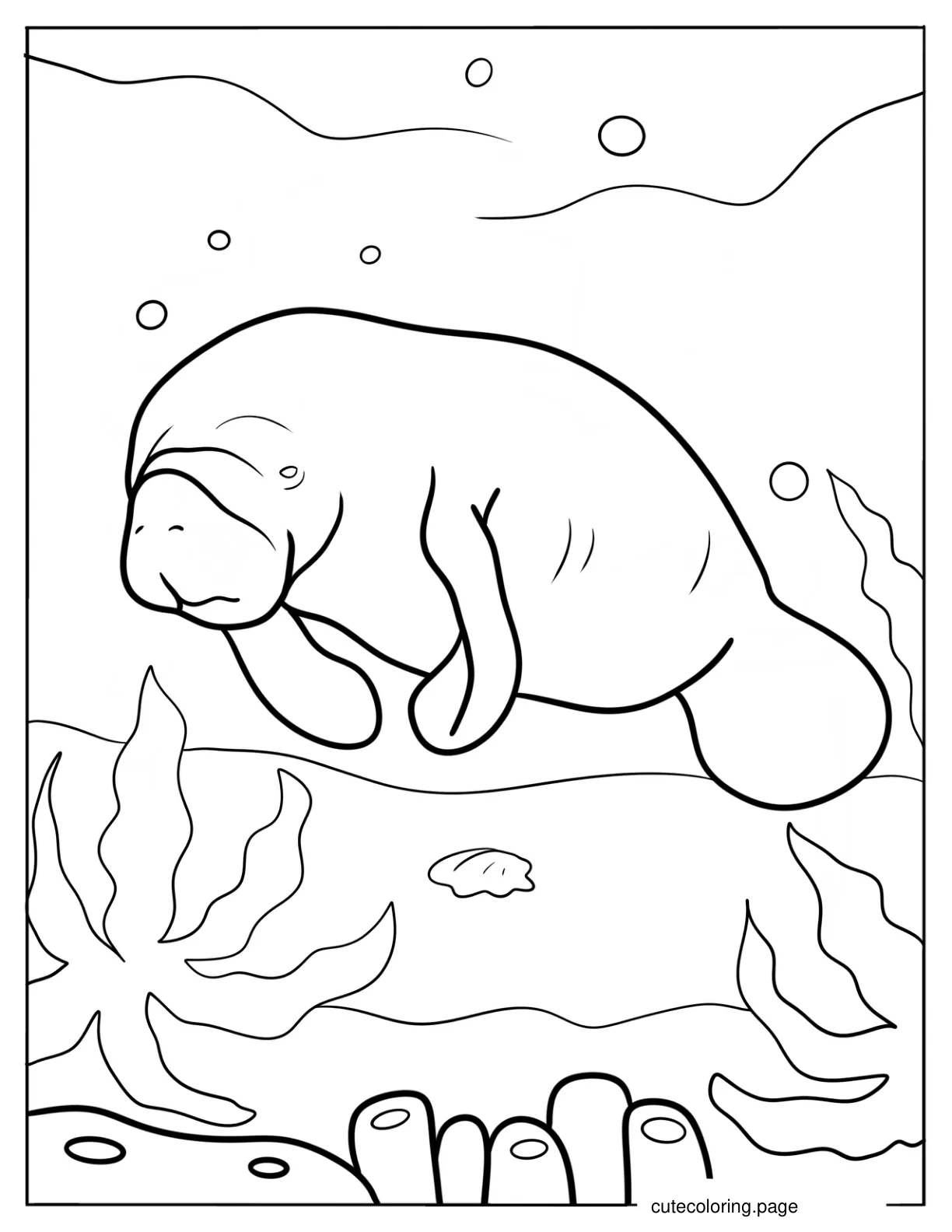 Realistic Adult Manatee coloring page