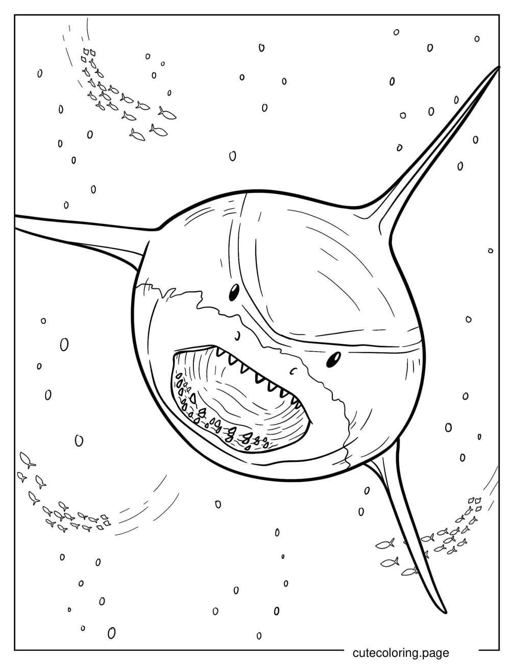 Front View Of Megalodon Underwater Coloring Page coloring page