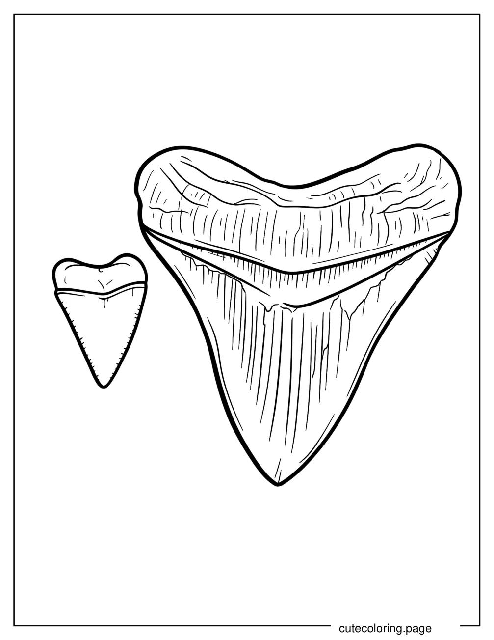 Megalodon Teeth Comparison Coloring Sheet coloring page