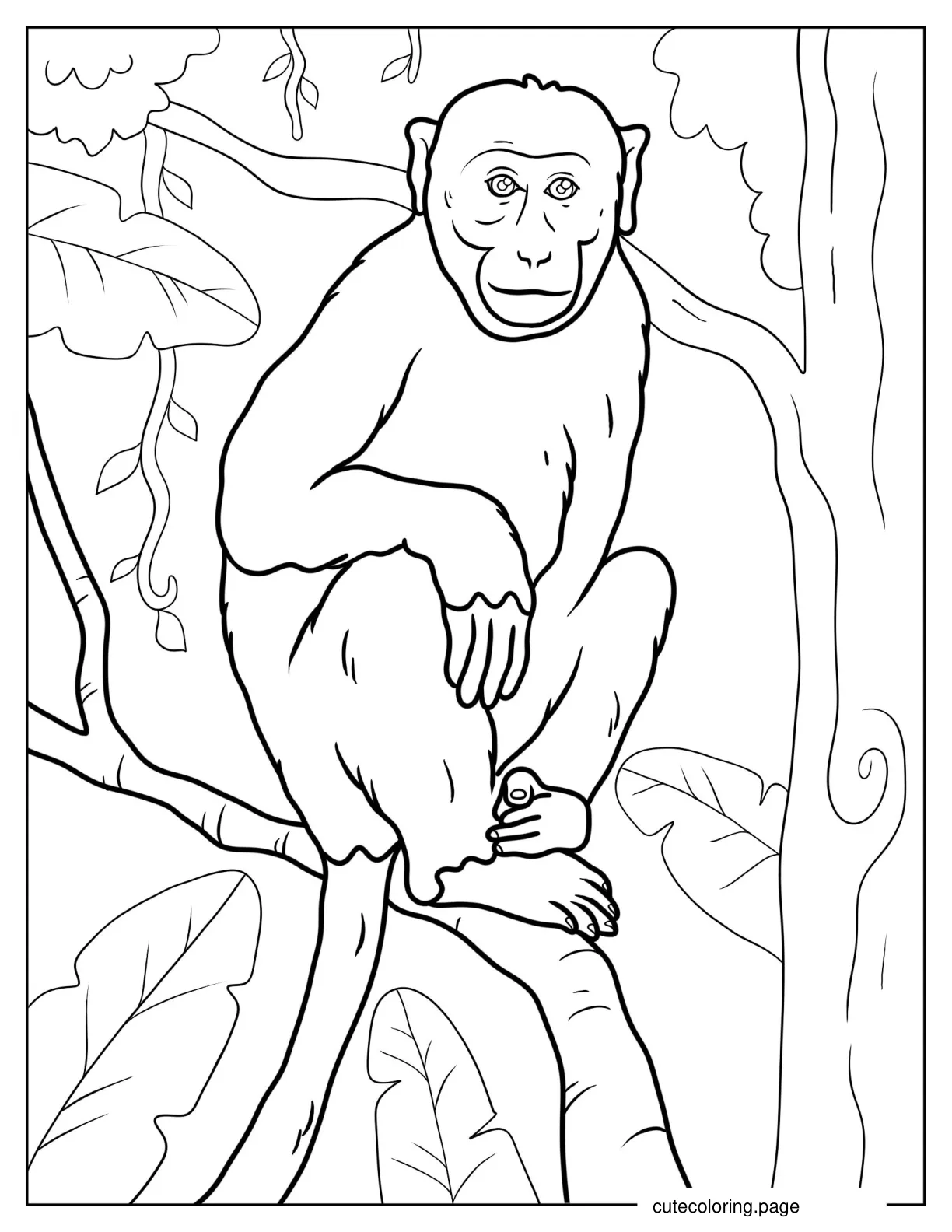 Bonnet Macaque Perched On Branch Coloring Sheet coloring page