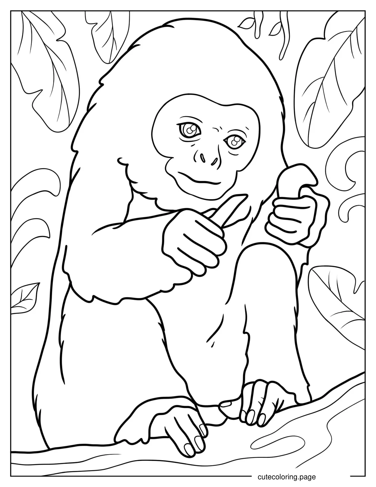 Easy Outline Of Baby Langur Monkey Coloring Page coloring page