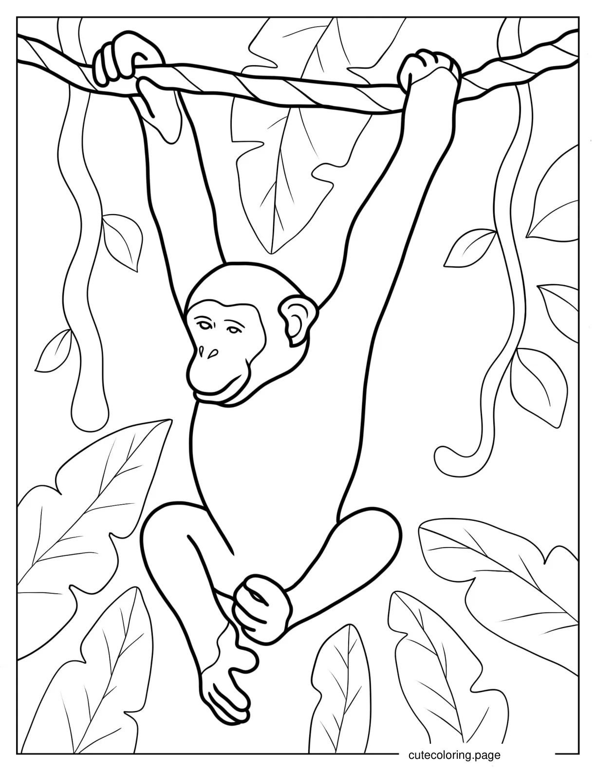 Realistic Monkey Hanging On Tree Branch coloring page