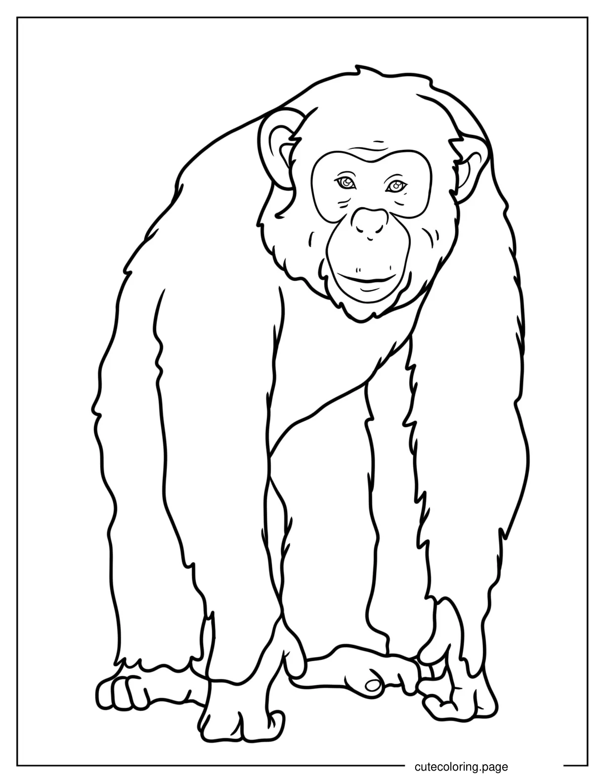 Realistic Young Chimpanzee Coloring Page For Kids coloring page