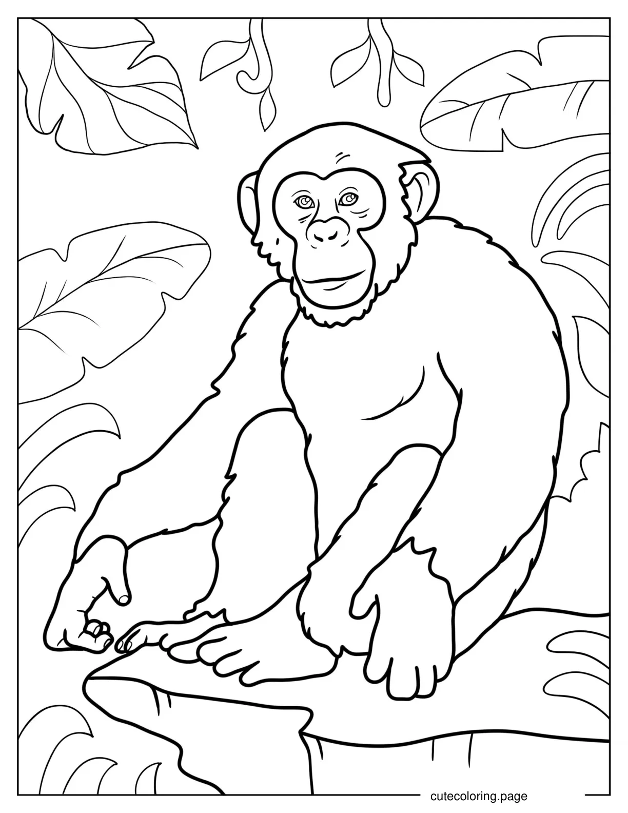 Smiling Chimpanzee On A Rock coloring page