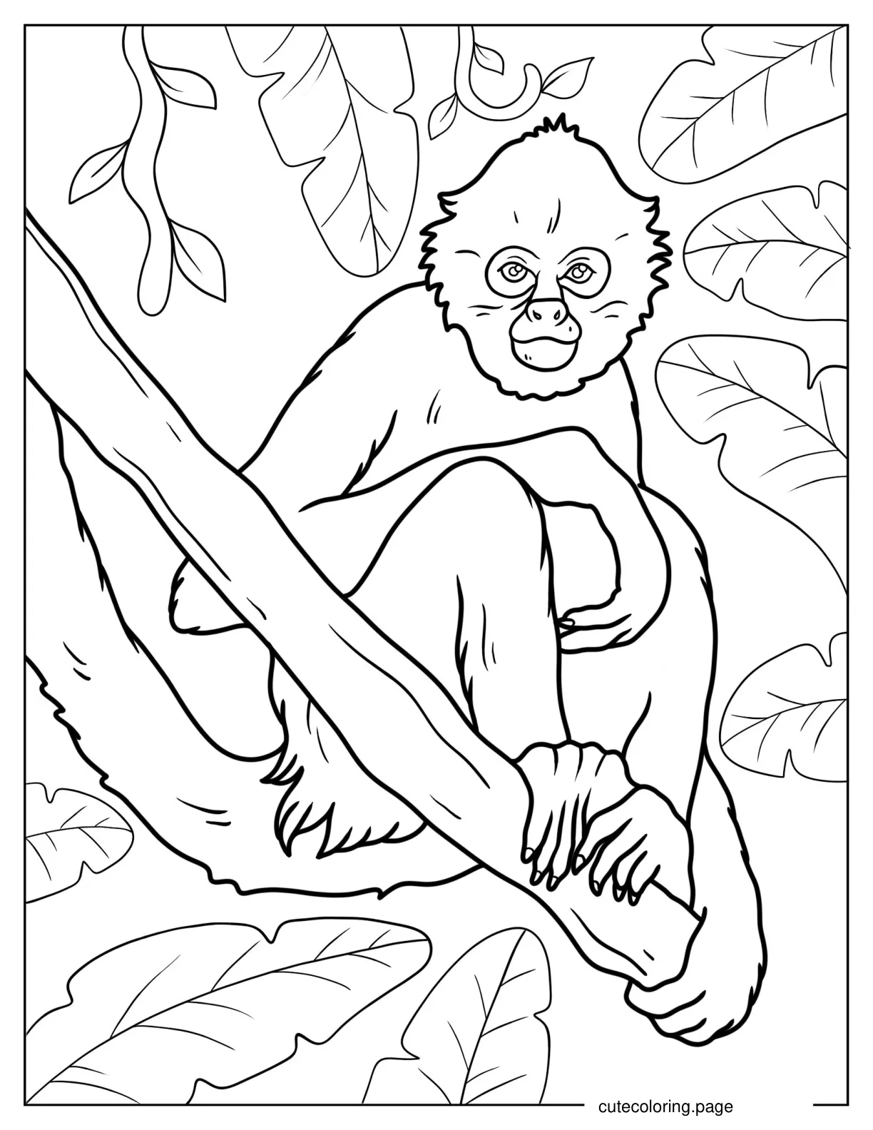 Spider Monkey Balancing On Tree Branch coloring page