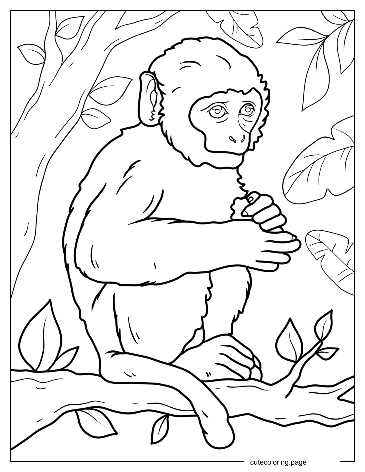 Worried Baby Monkey Coloring Sheet coloring page