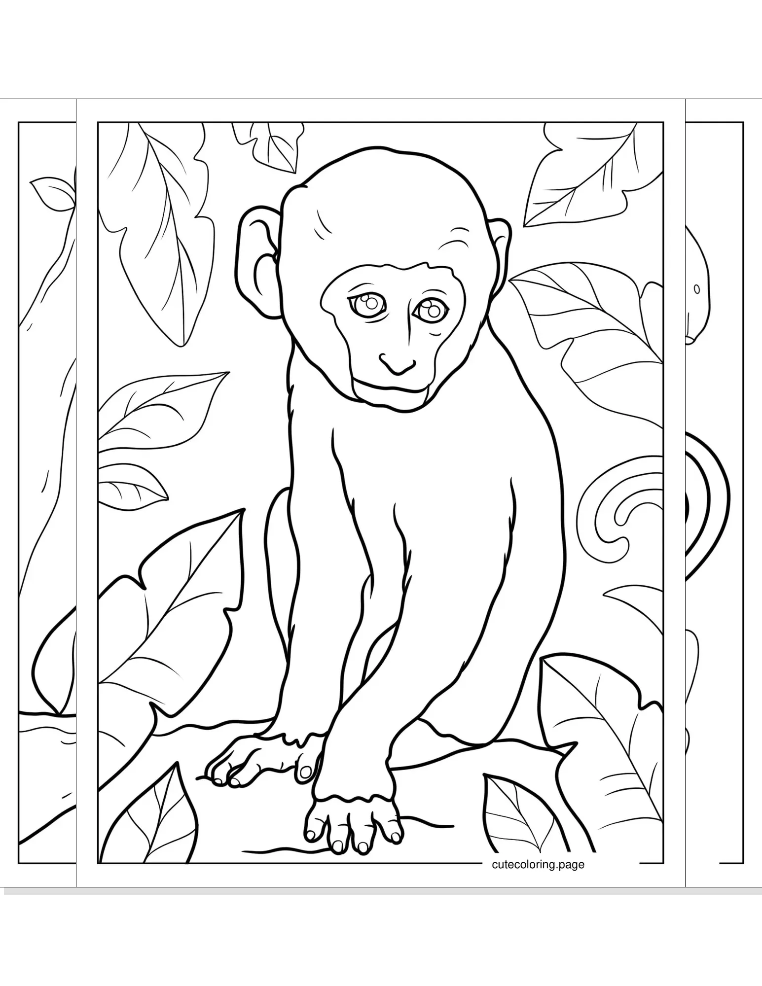 monkey coloring pages coloring page