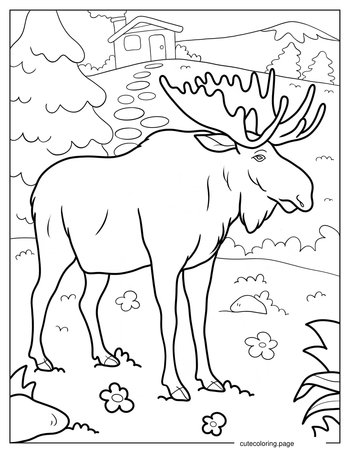 Full Grown Moose In Field Coloring Page coloring page