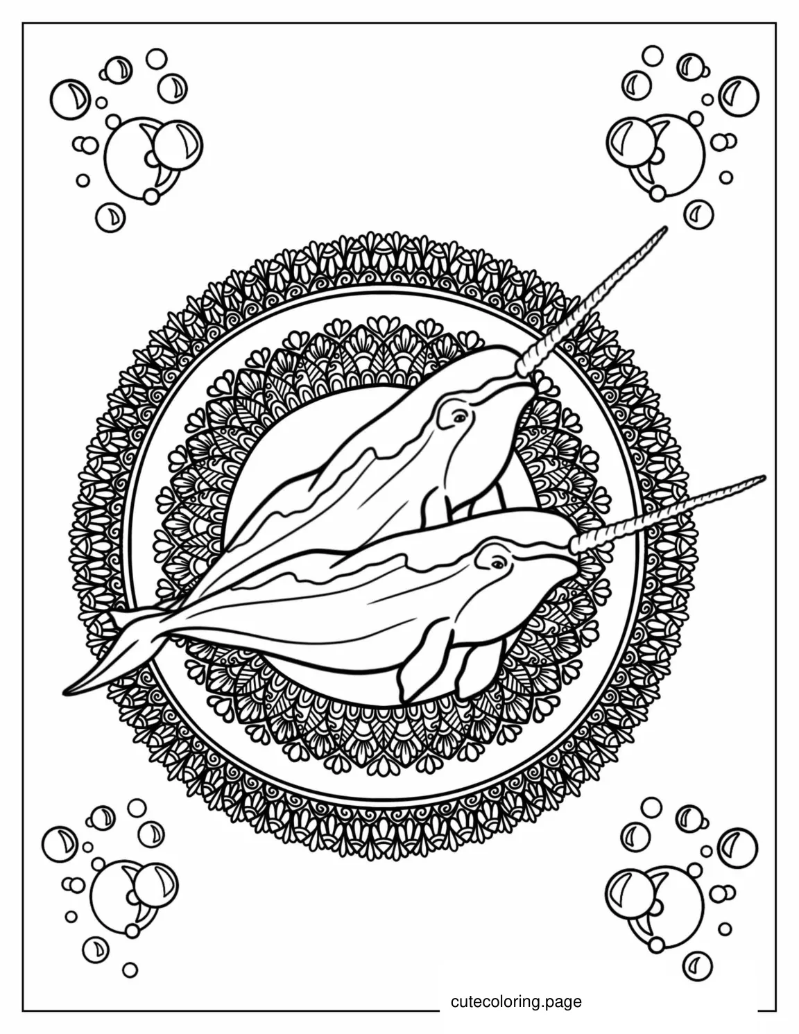 Narwhal Mandala Coloring Page For Adults coloring page