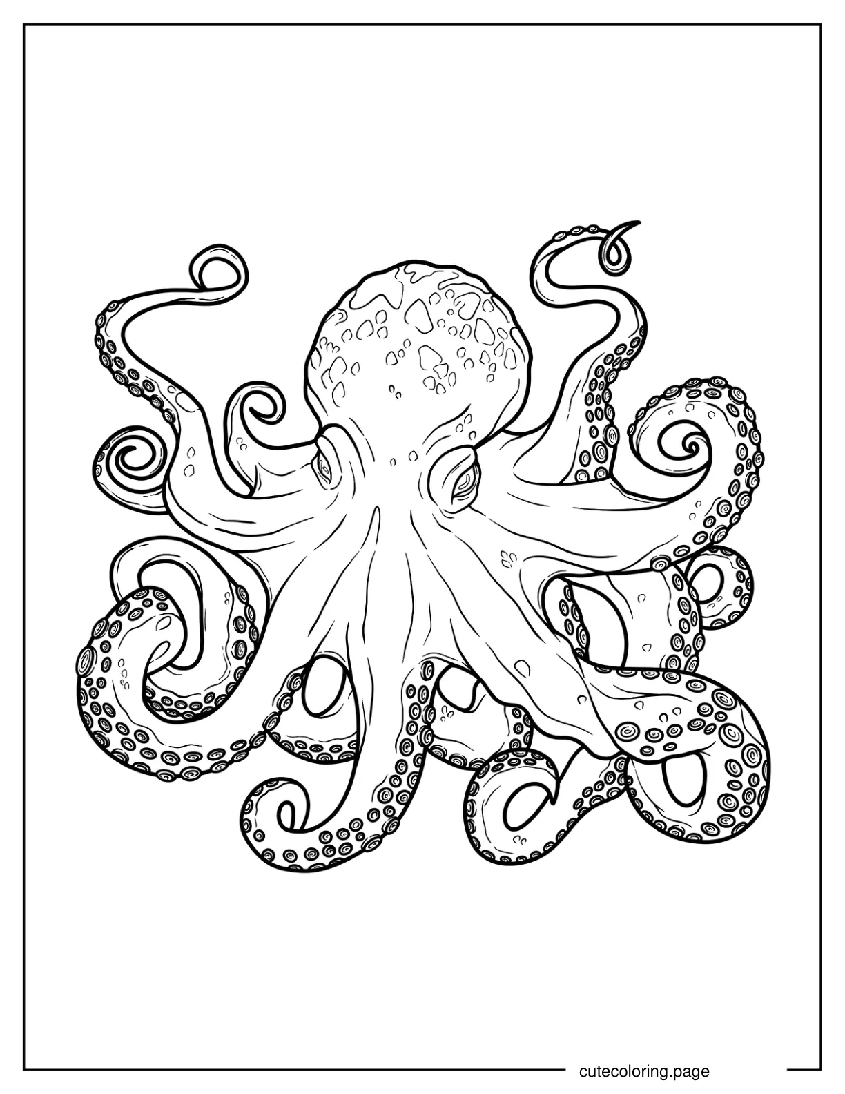 East Pacific Red Octopus coloring page