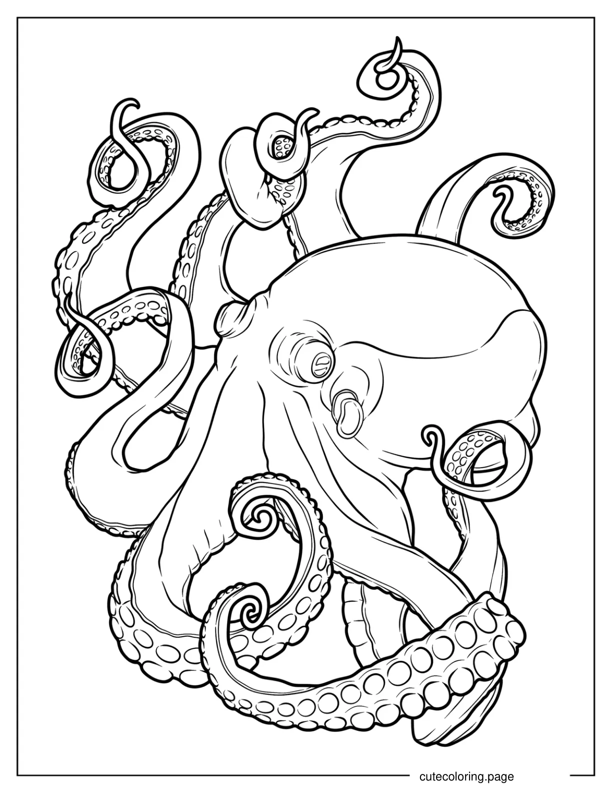 Macroctopus Outline Coloring Page coloring page