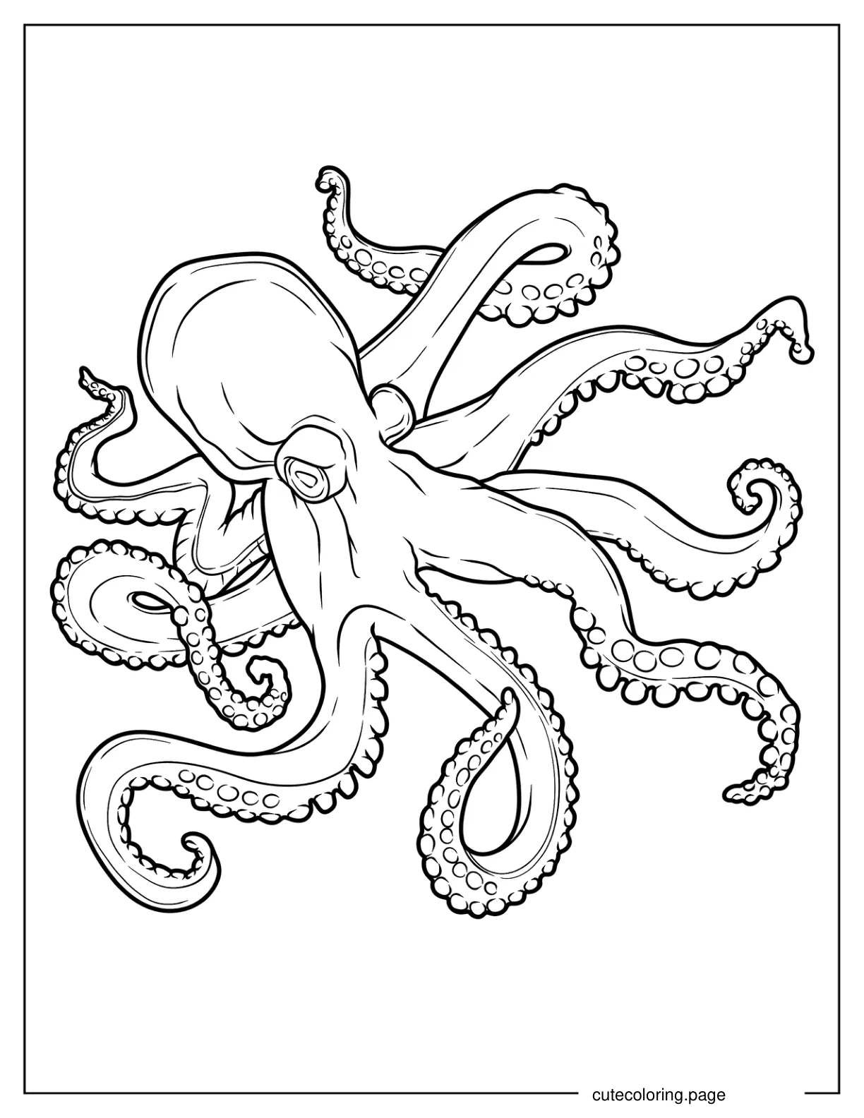 Realistic Octopus Outline Coloring Page coloring page