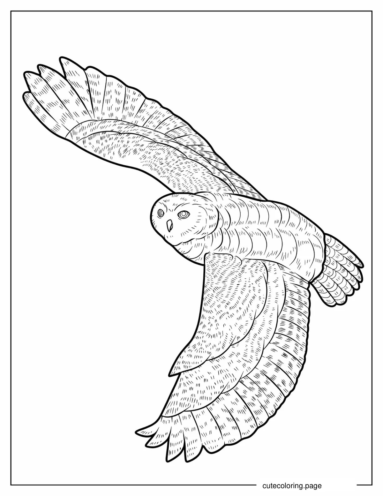 Barn Owl Flying With Large Wings coloring page