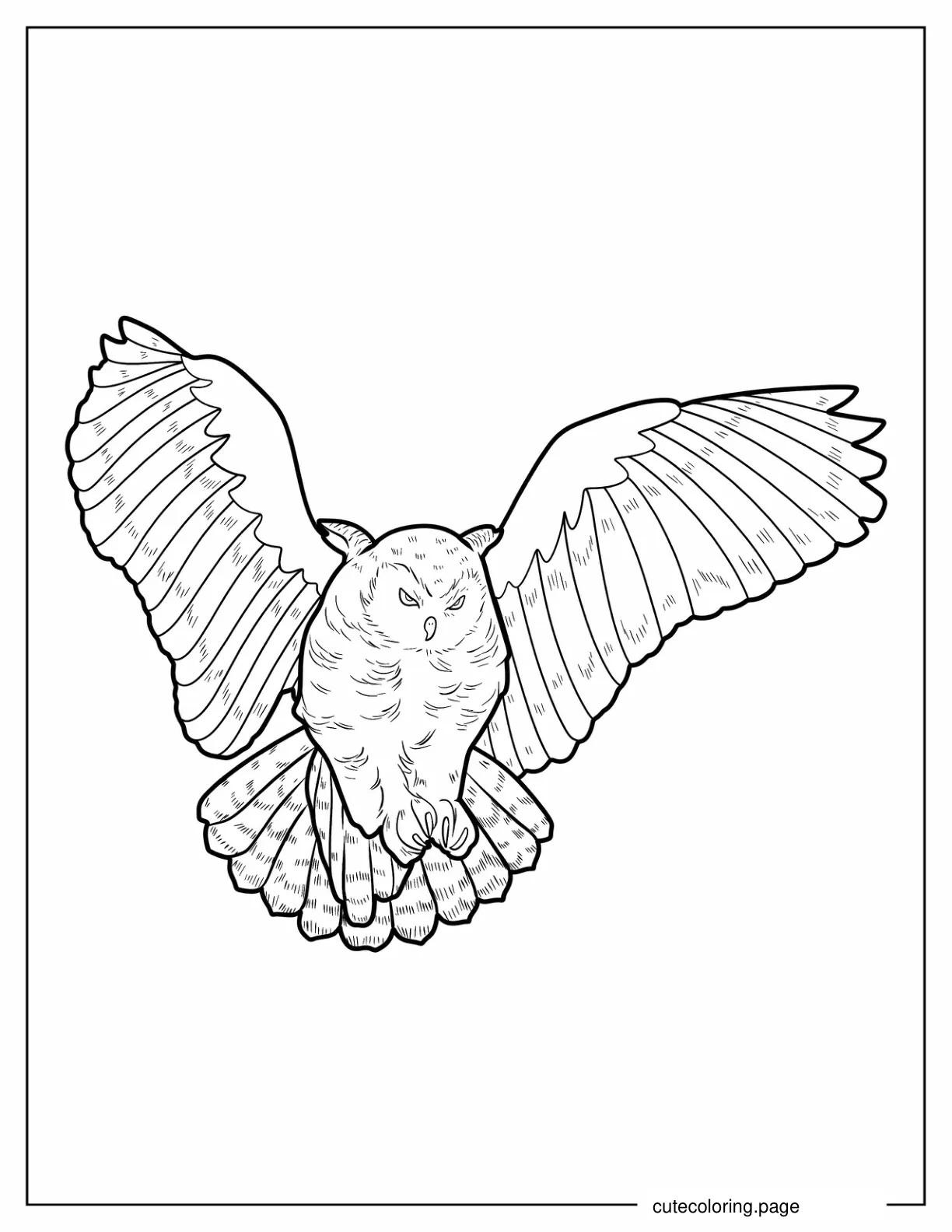 Barred Owl Swooping Down coloring page