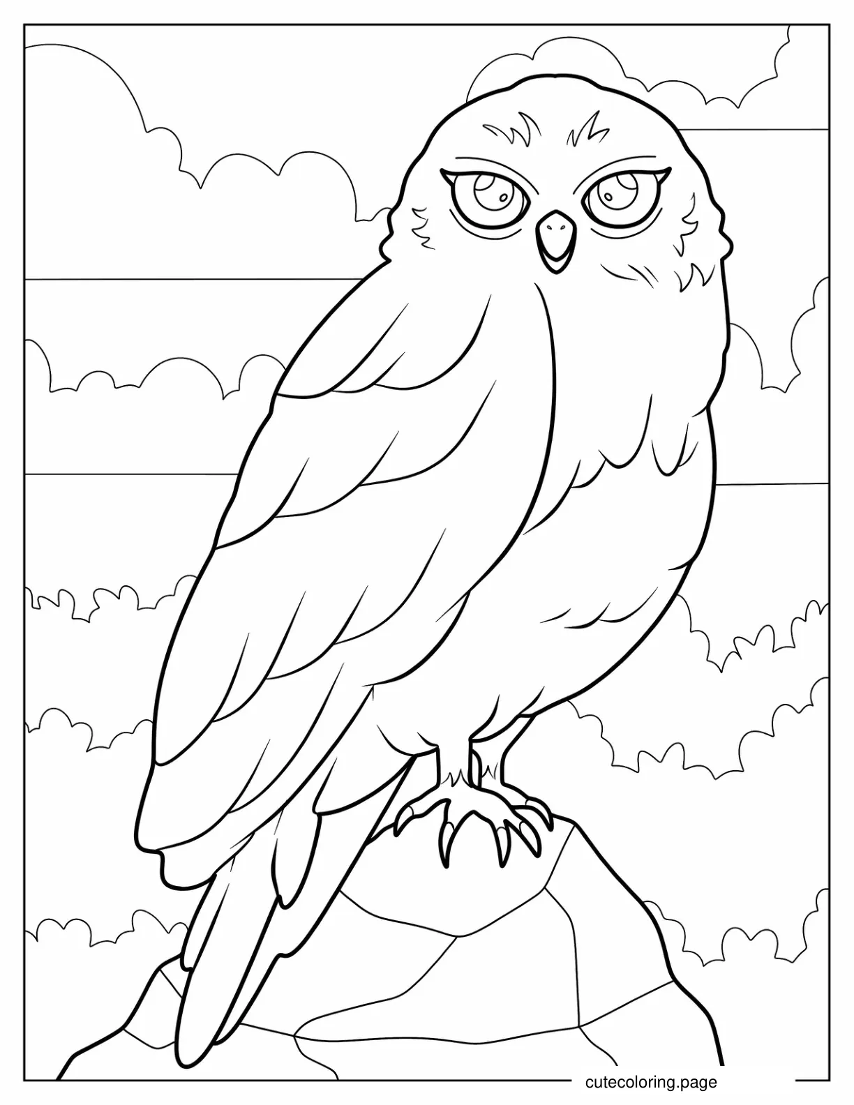 Coloring Sheet Of Owl Sitting On Rock coloring page