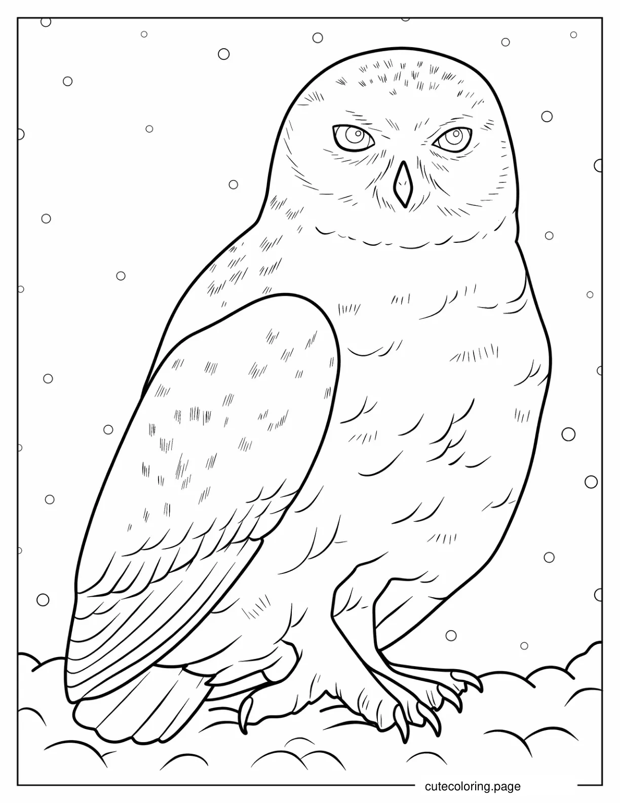 Detailed Snowy Owl To Color coloring page