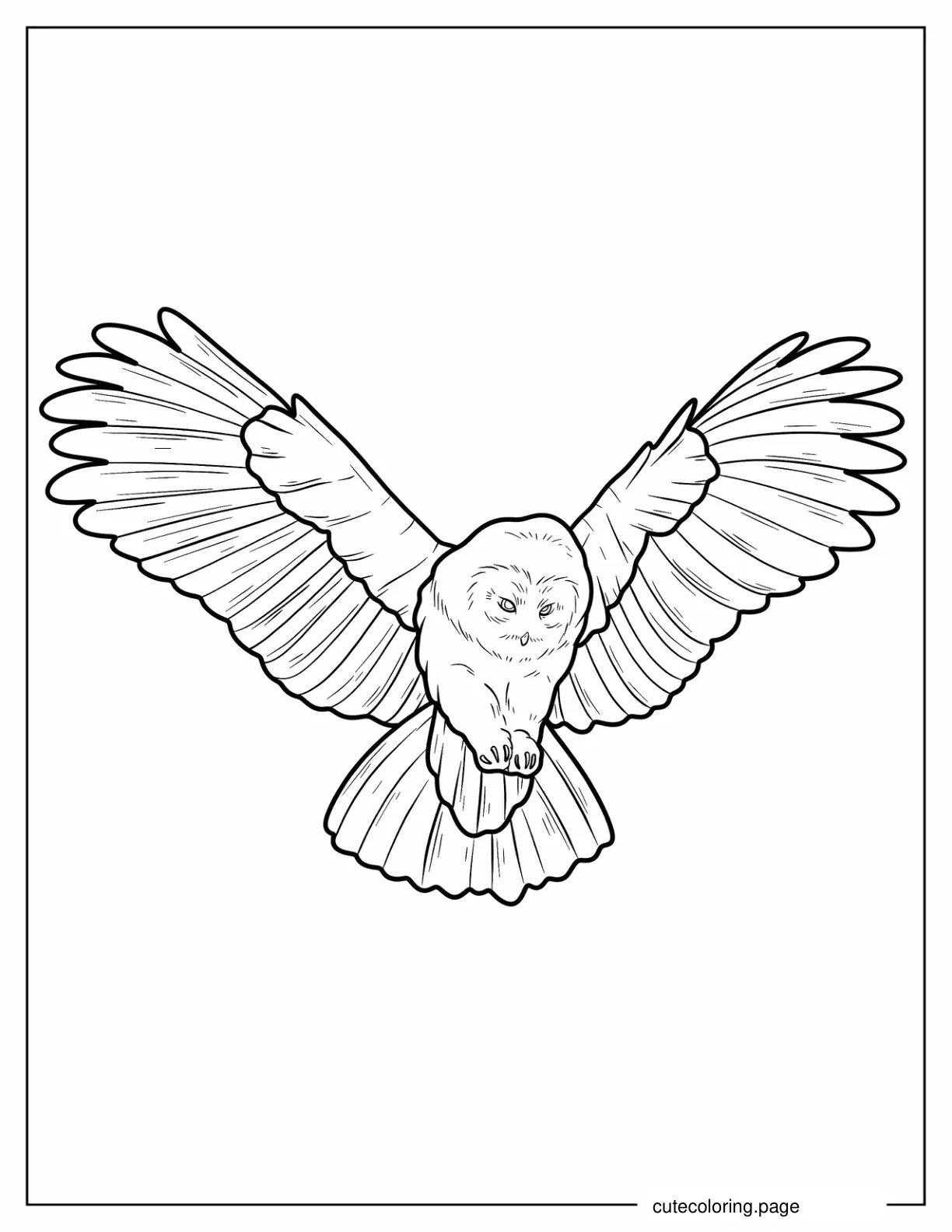 Owl Coming In To Land coloring page