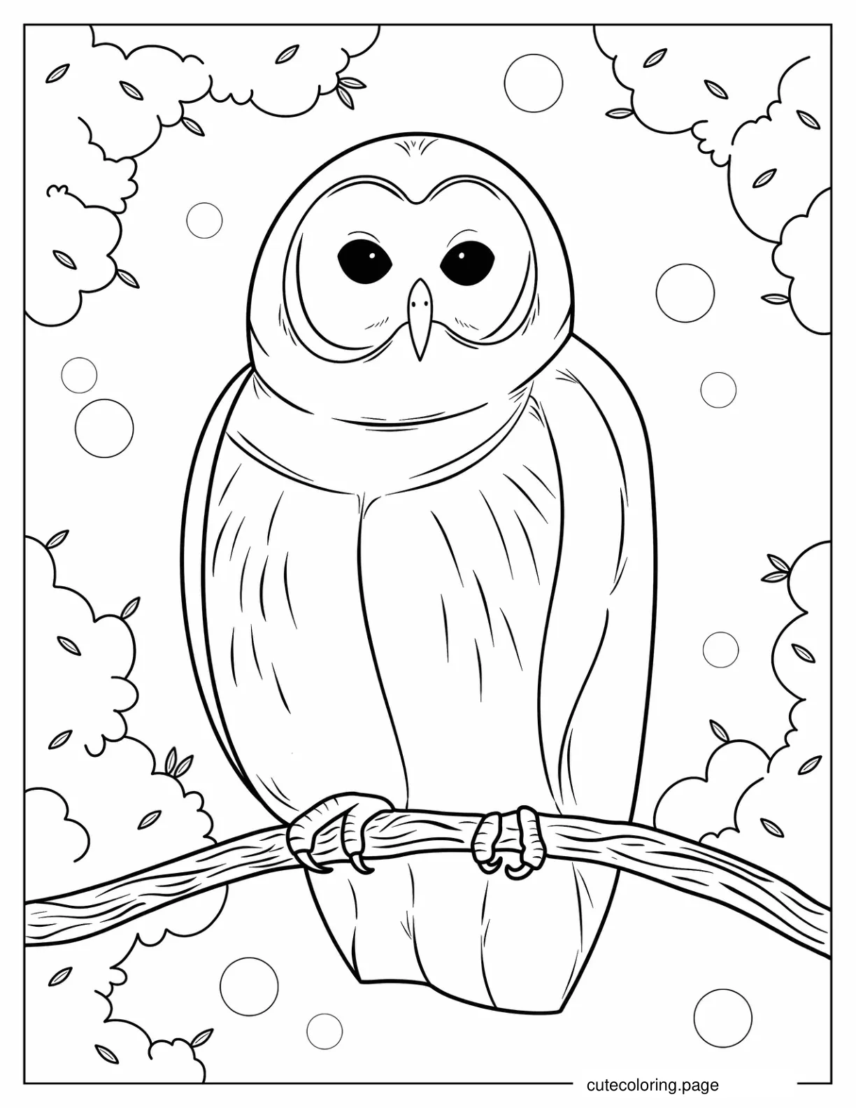 Plump Looking Own With Sharp Claws coloring page