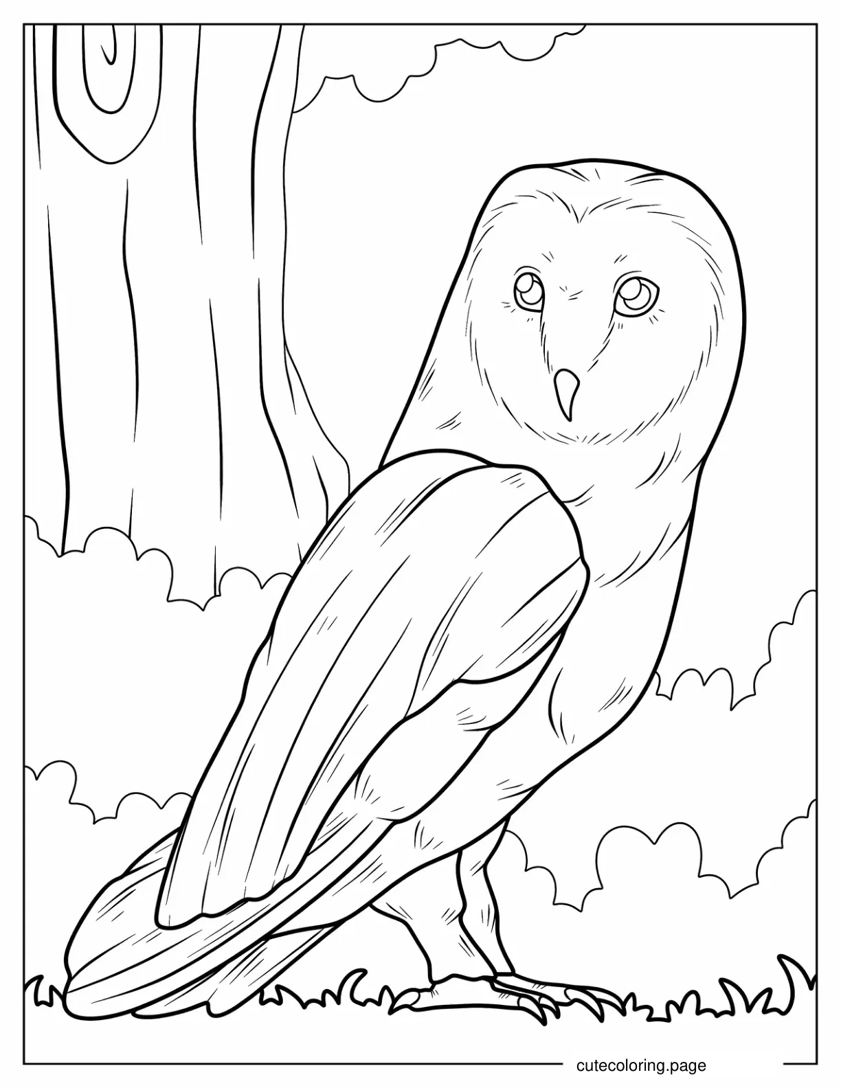 Simple Barn Owl To Color coloring page