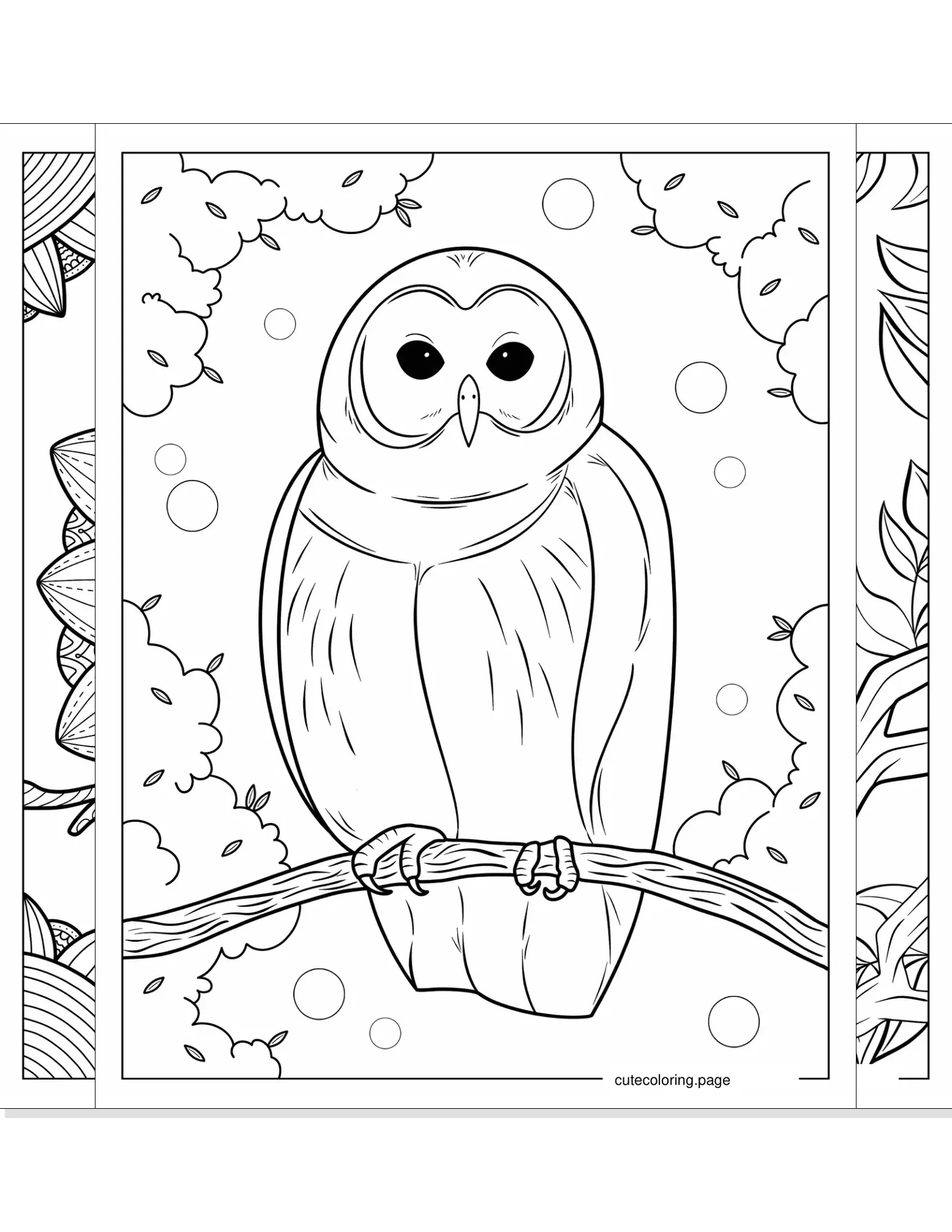 owl coloring pages coloring page