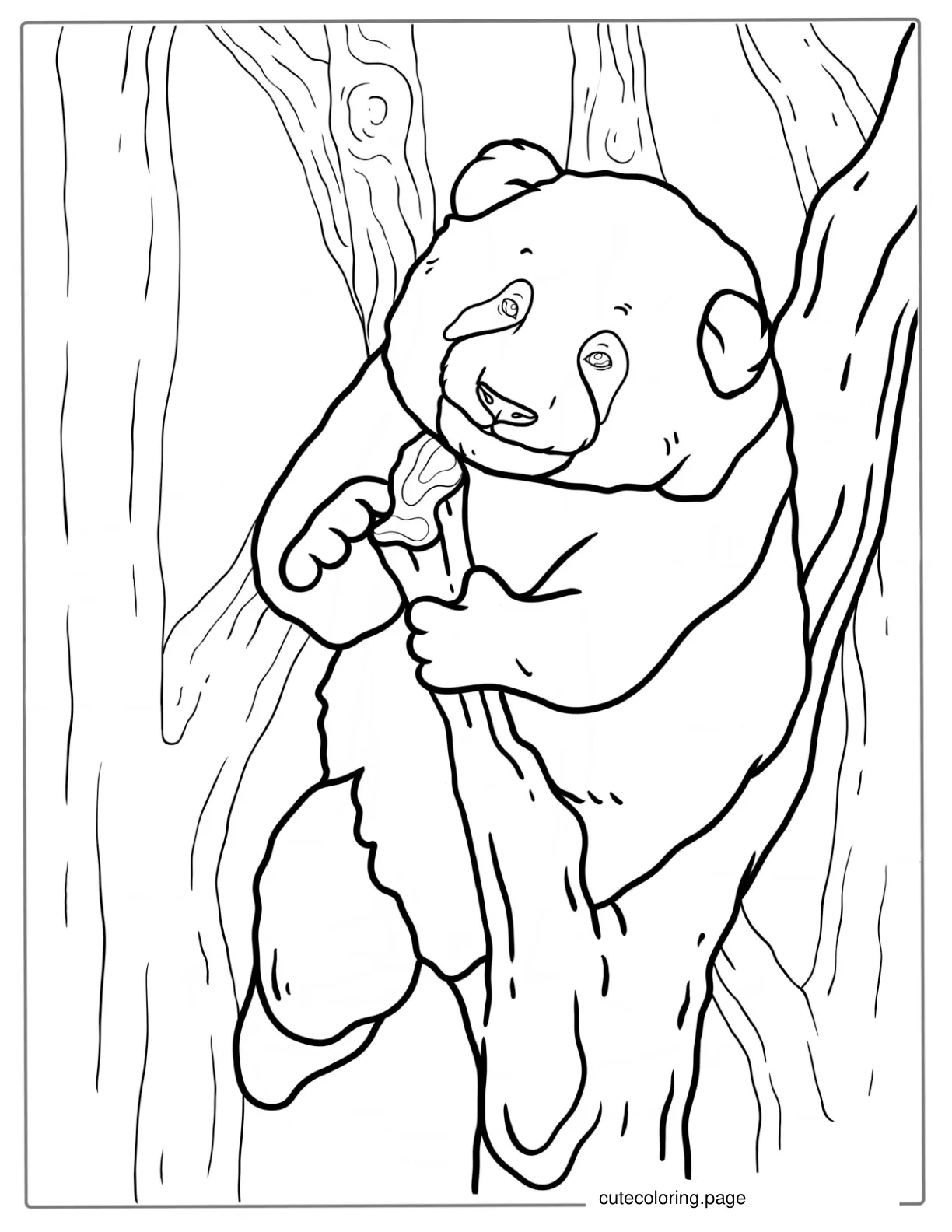 Baby Panda Resting In Tree To Color coloring page