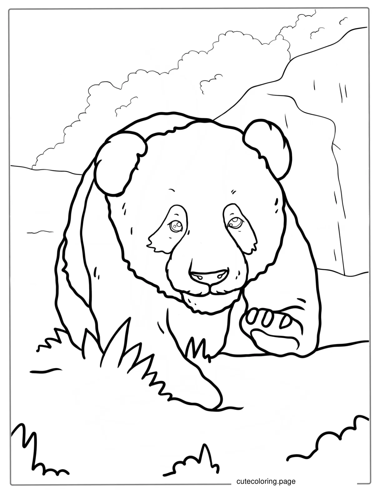 Baby Panda Walking On Grass Coloring Sheet coloring page