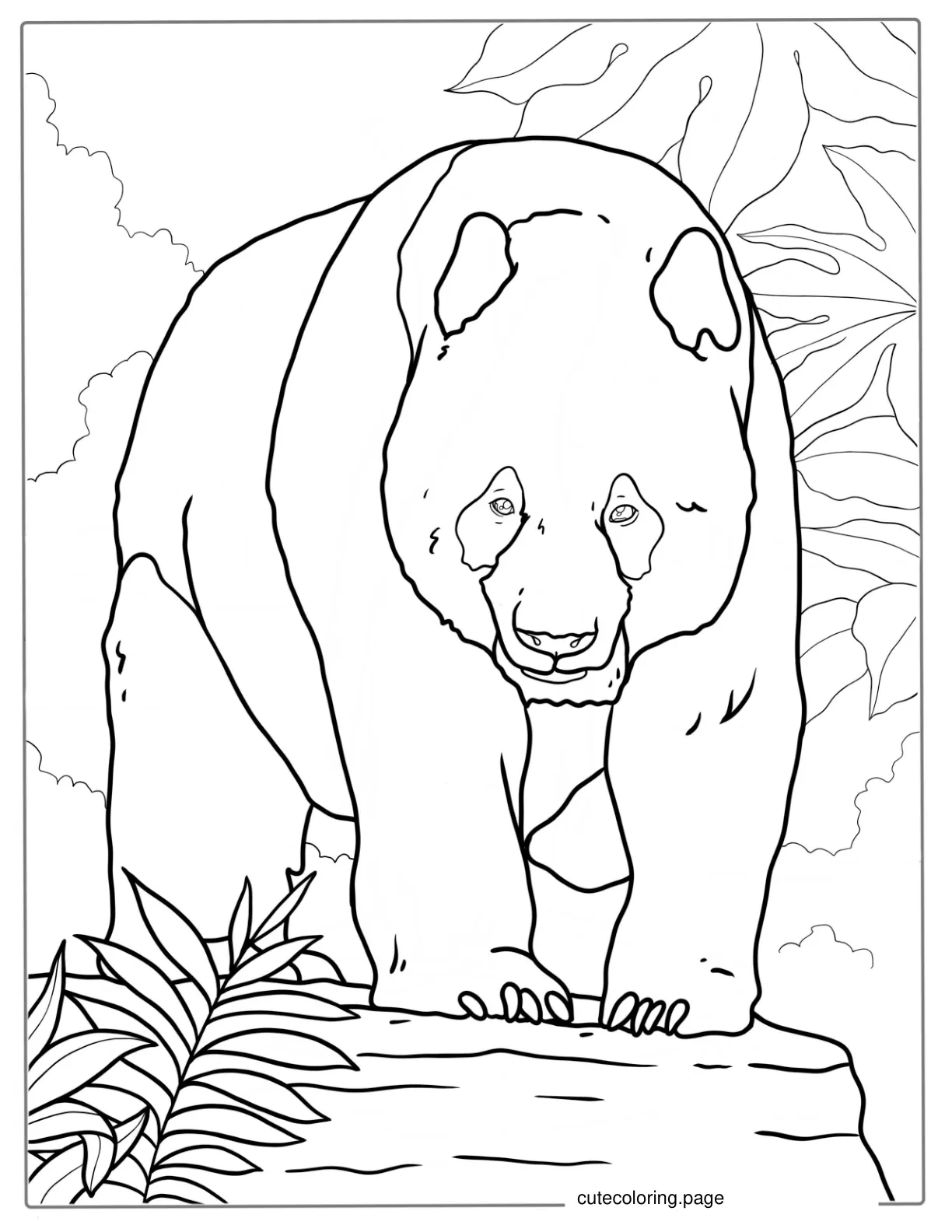 Giant Panda In The Jungle coloring page