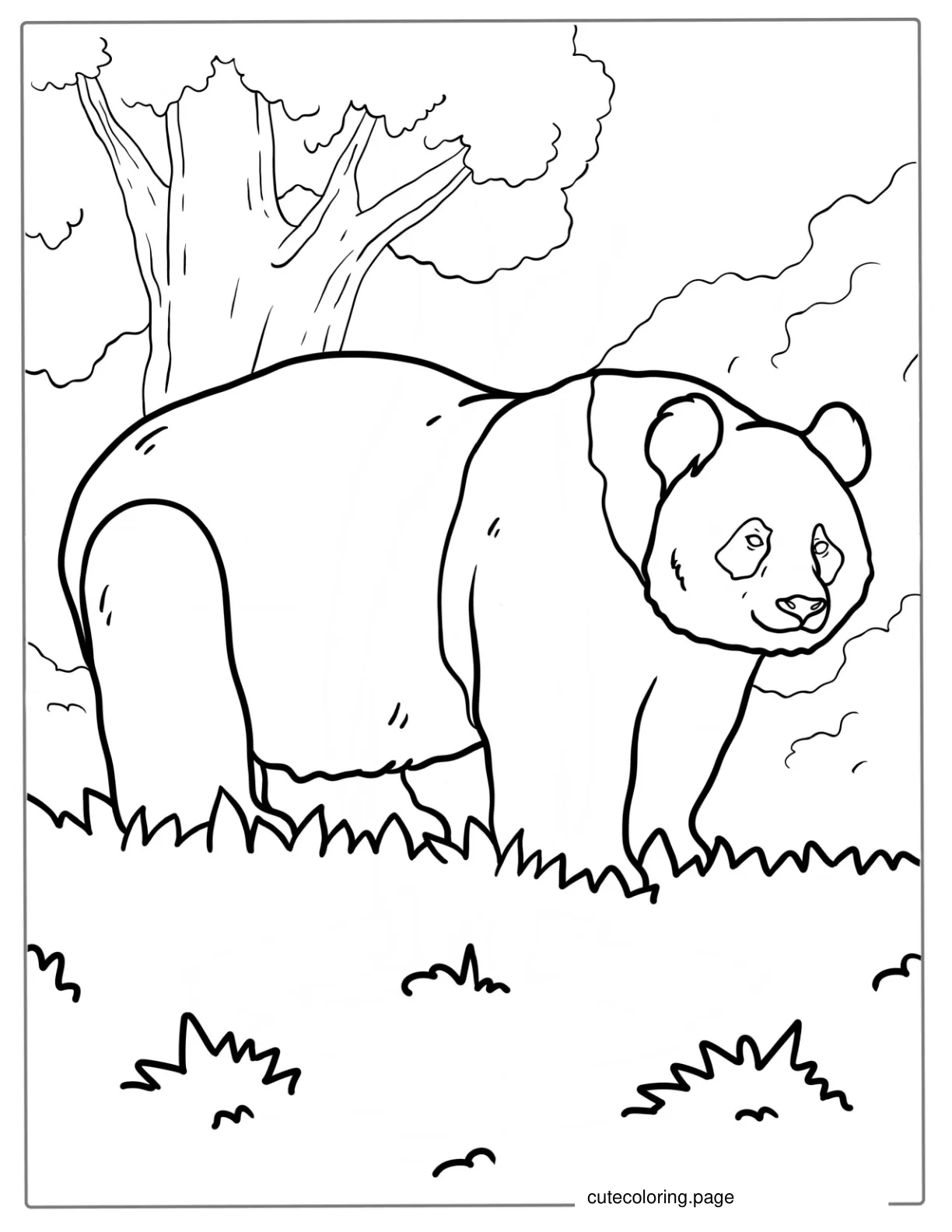 Giant Panda Walking On Grass To Color coloring page