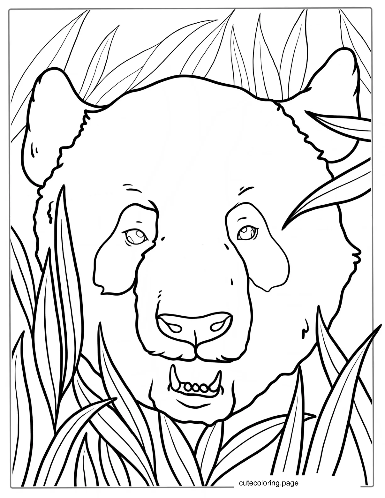 Outline Of Panda Head To Color coloring page