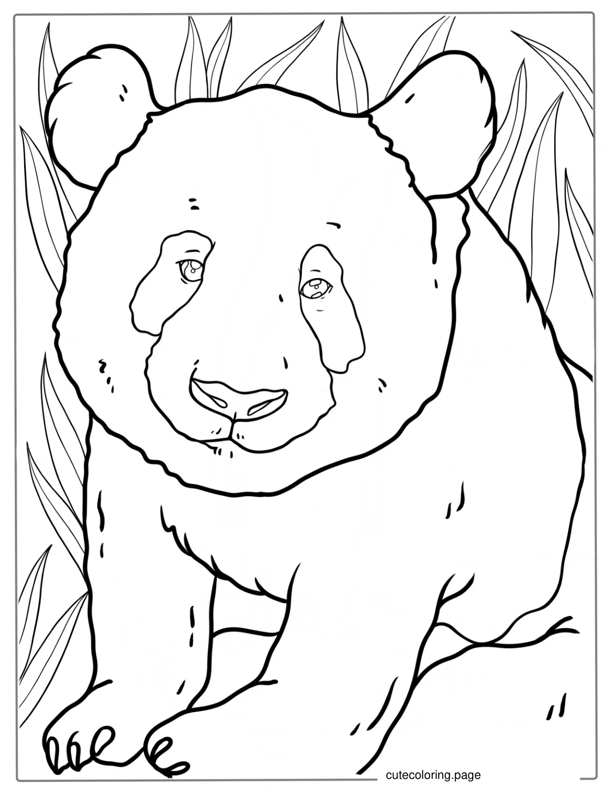 Simple Outline Of Baby Panda To Color coloring page