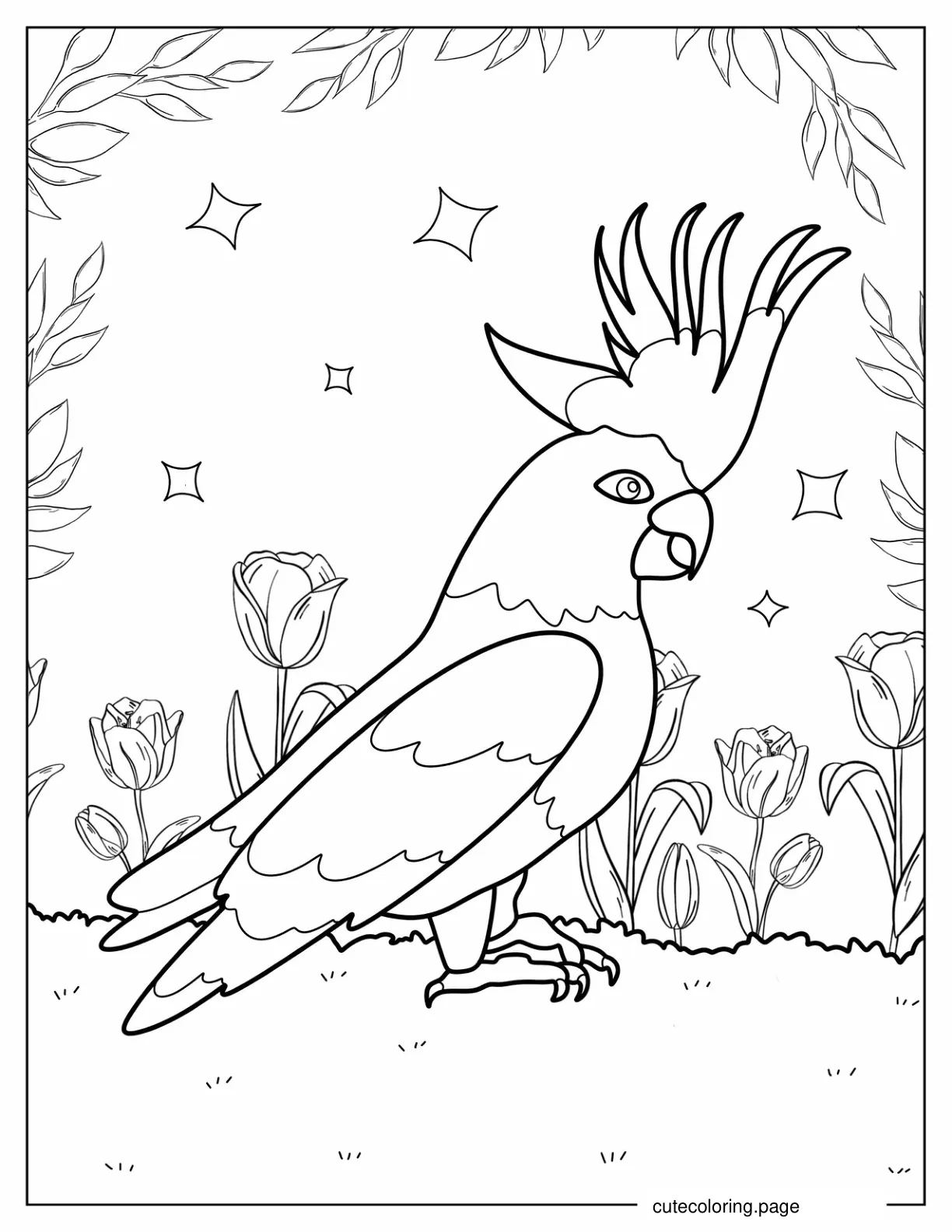 Australian Cockatoo To Color coloring page