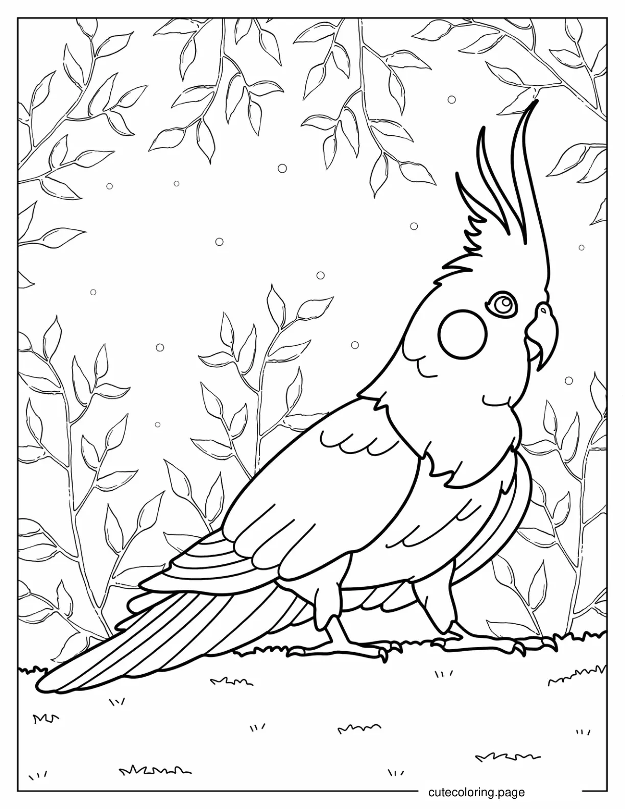 Cockatiel Coloring Page coloring page