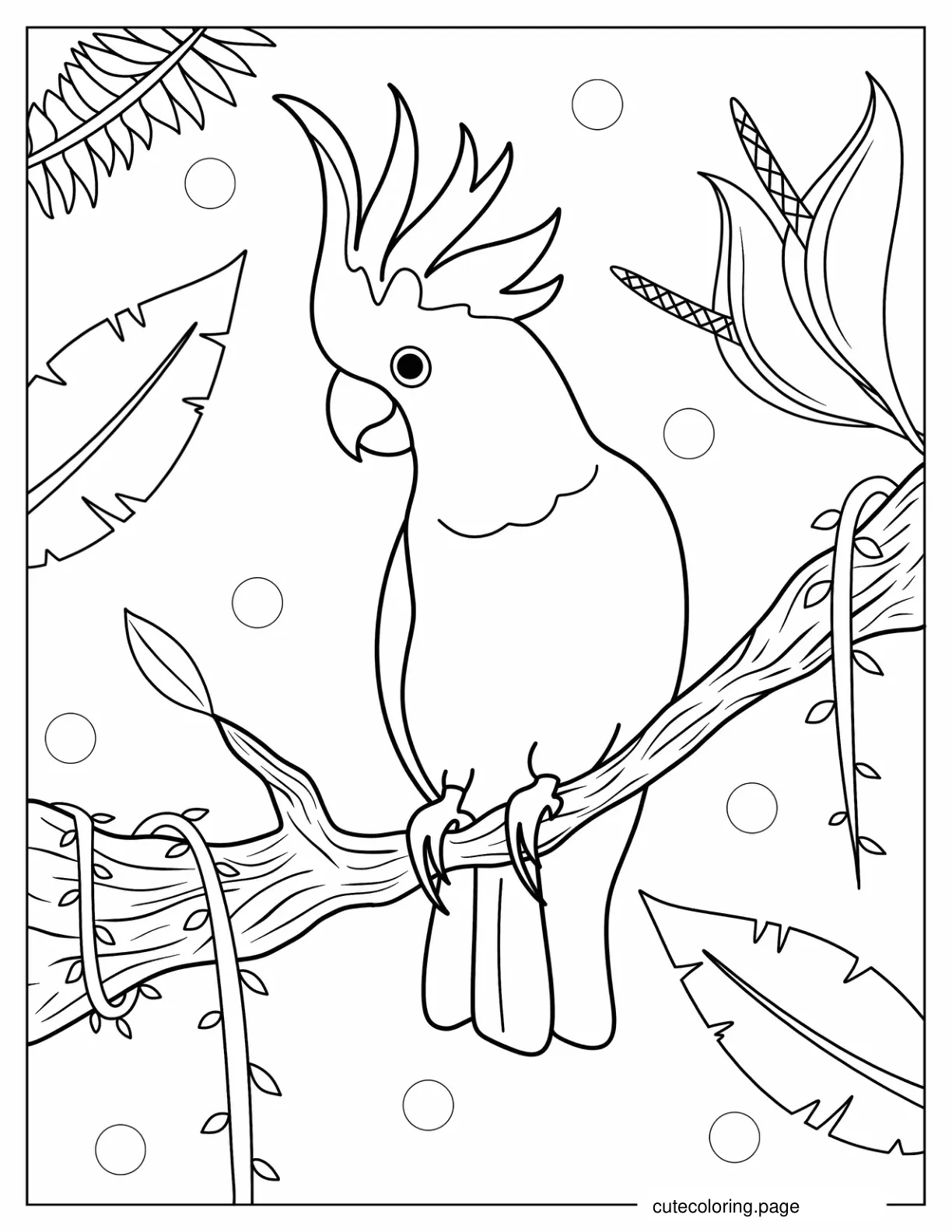 Cockatoo Parrot To Color coloring page