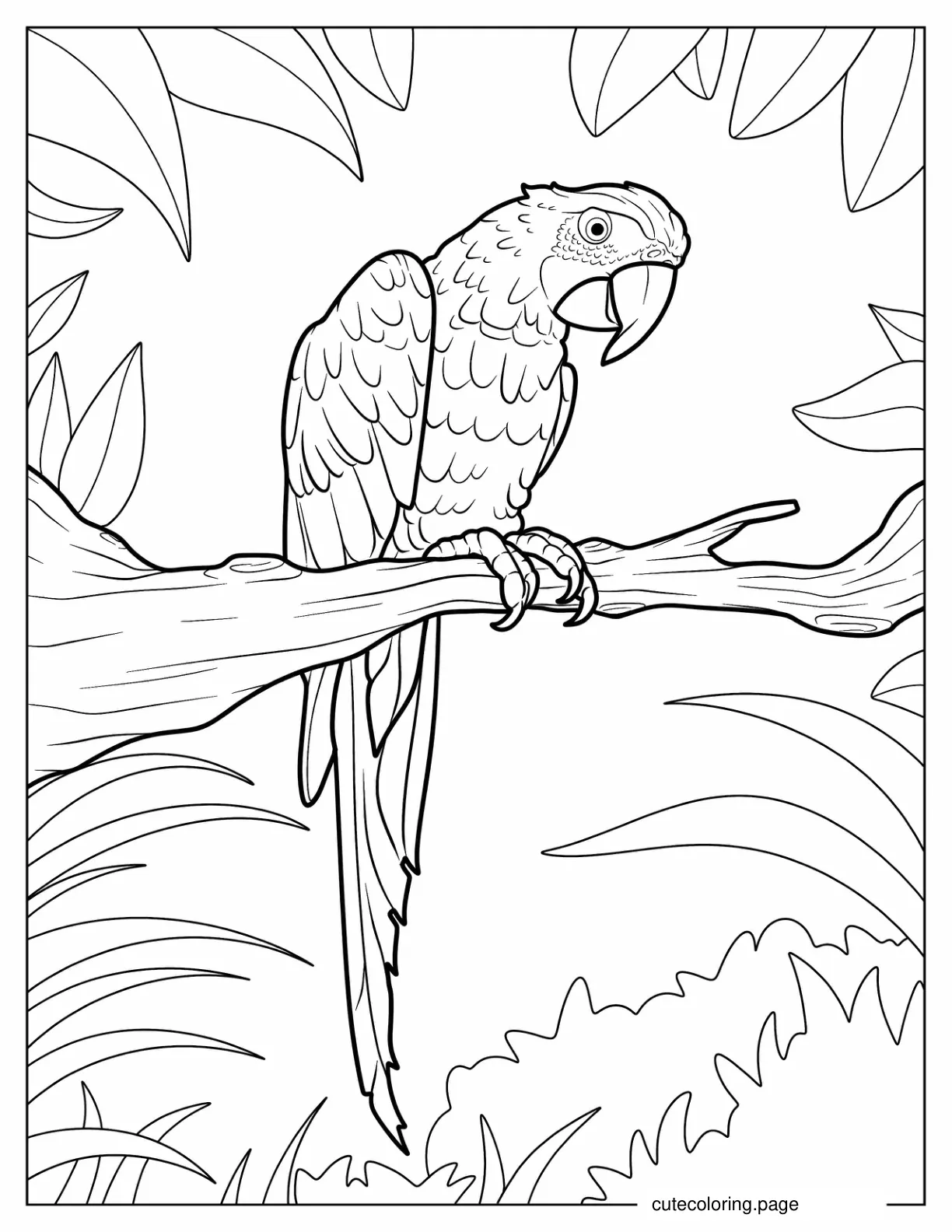 Detailed Parrot Sitting On a Branch coloring page