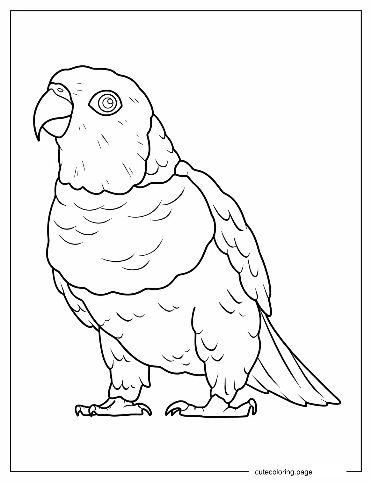 Easy To Color Caique Parrot coloring page