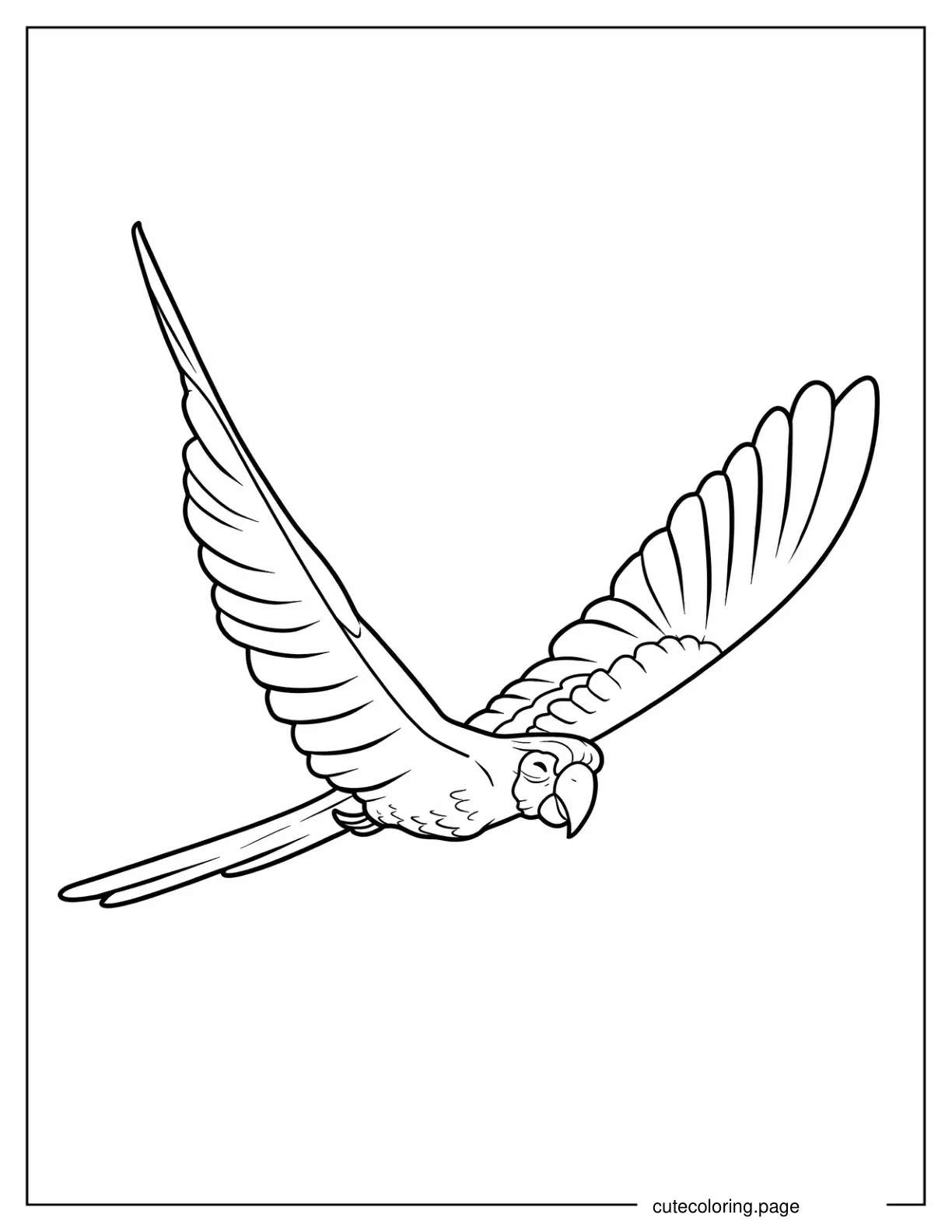 Flying Hyacinth Macaw Parrot coloring page